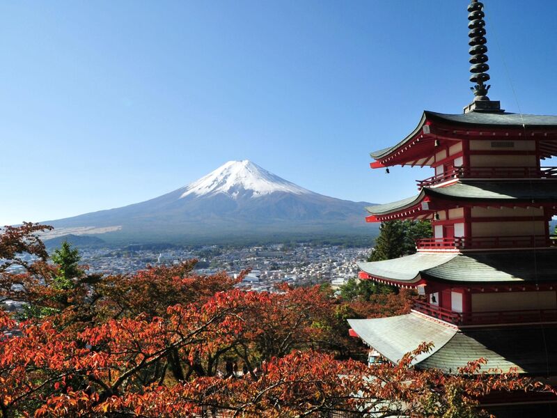 ELEGANT JAPONYA & GÜNEY KORE