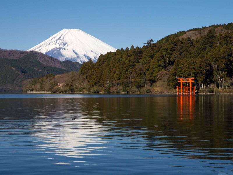 ELEGANT JAPONYA & GÜNEY KORE