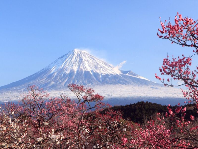 BÜYÜK JAPONYA KORE TURU